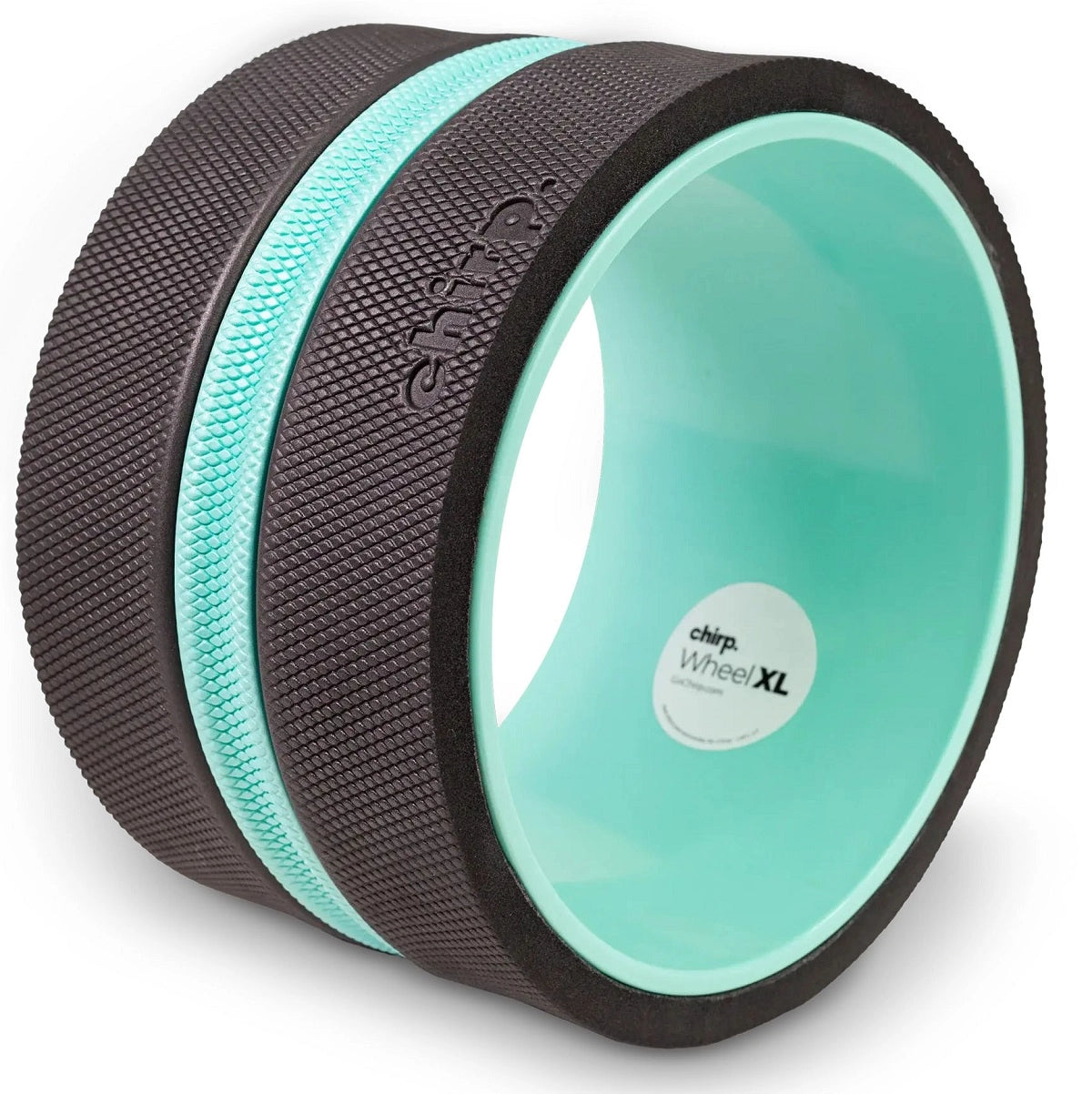 Chirp Wheel XL 10