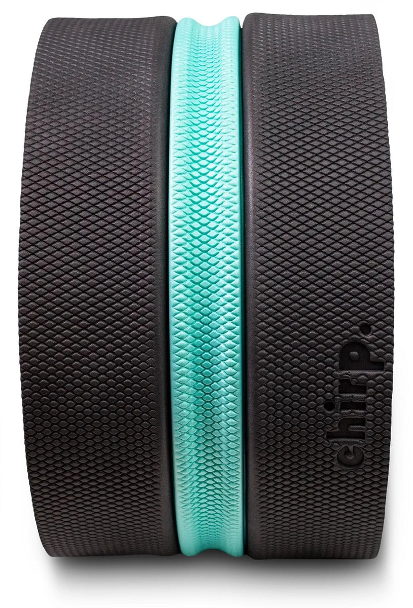 Chirp Wheel XL 10