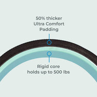 Chirp Wheel XL 10
