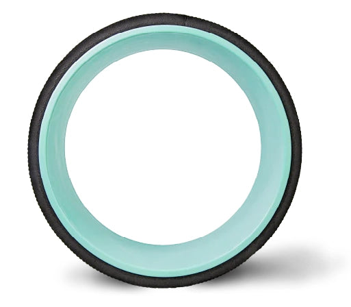 Chirp Wheel Plus 10