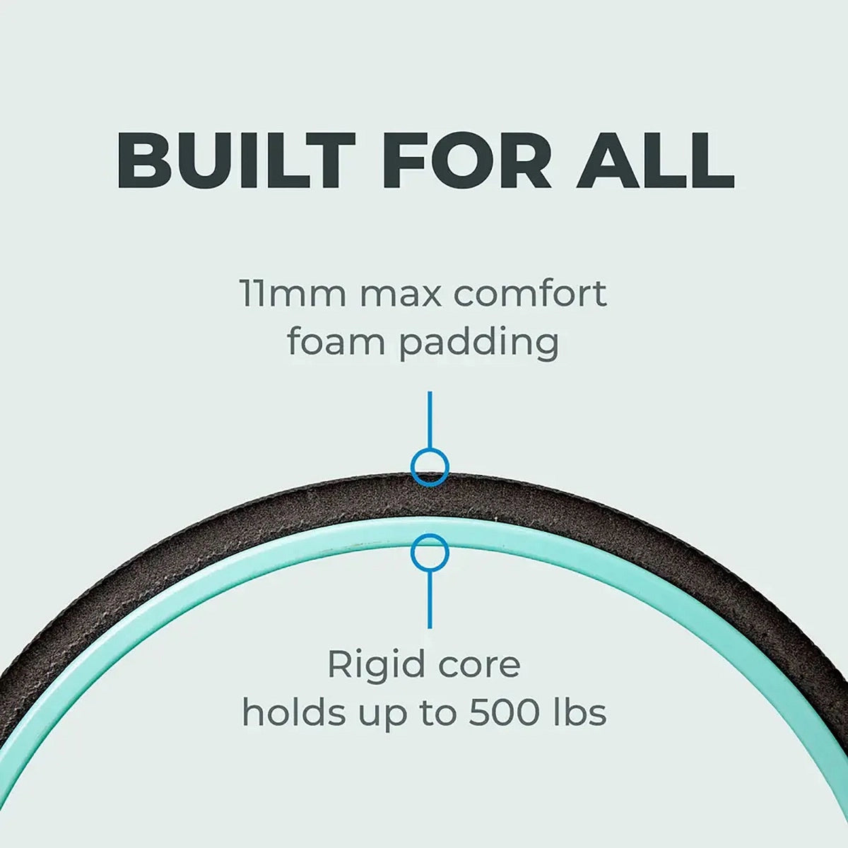 Chirp Wheel Plus 10