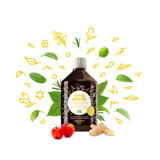 Vita Biosa Ingefära 500ml