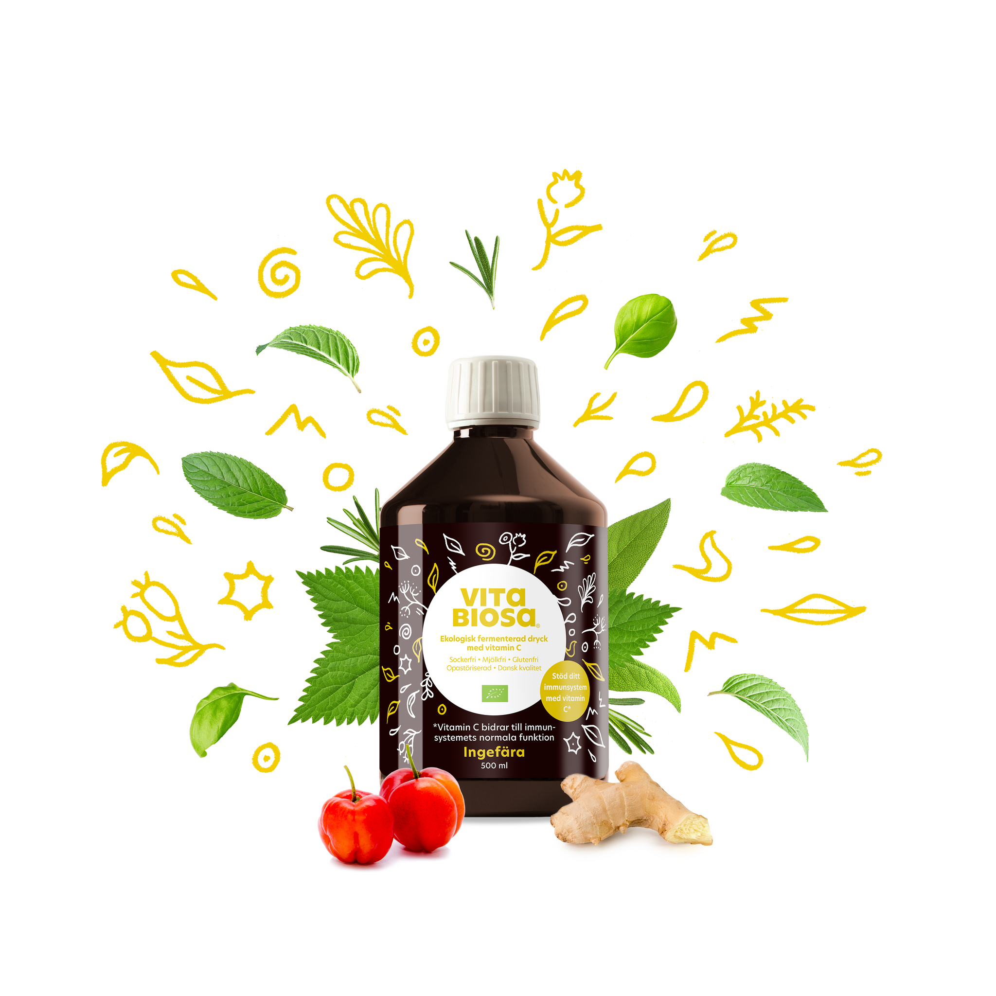 Vita Biosa Ingefära 500ml