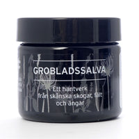 Grobladssalva 60ml