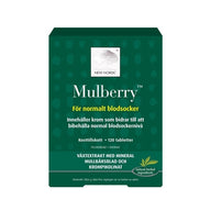 Mulberry 120 tabletter