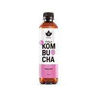 Kombucha Hallon 400ml
