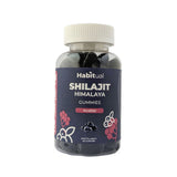 Shilajit Gummies Acaibär 60st