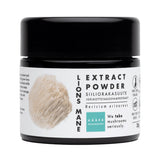 Lion's Mane Extract Powder 30g