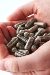 Organic Irish Sea Moss 90 kapslar