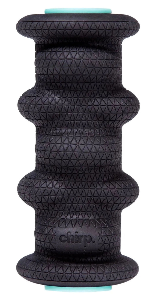Chirp Wheel XR 2